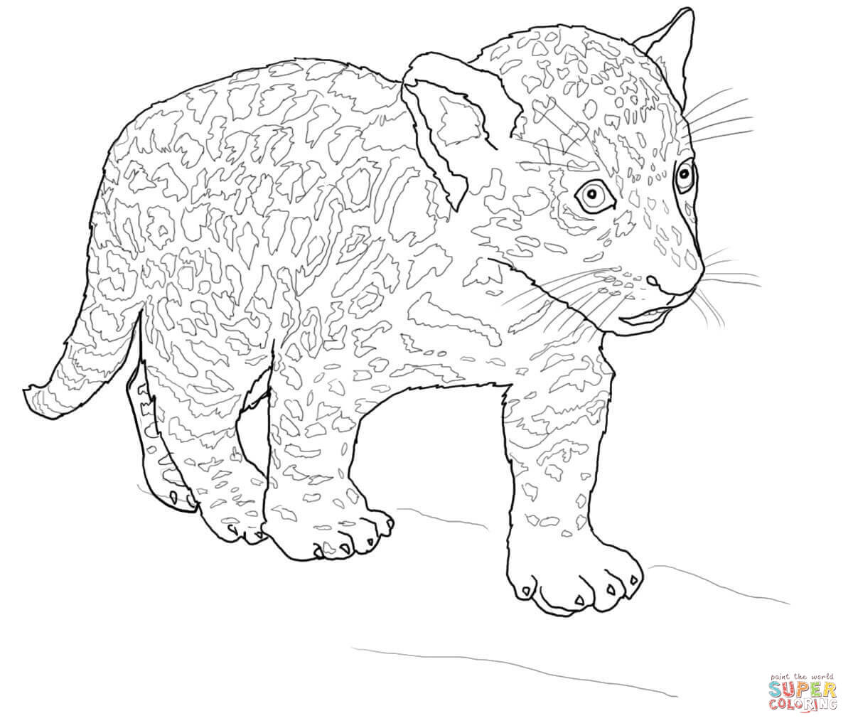 Jaguar coloring pages to download and print for free