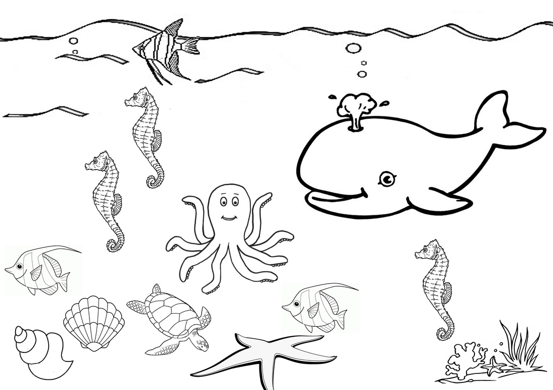 under the sea coloring pages preschool - photo #13