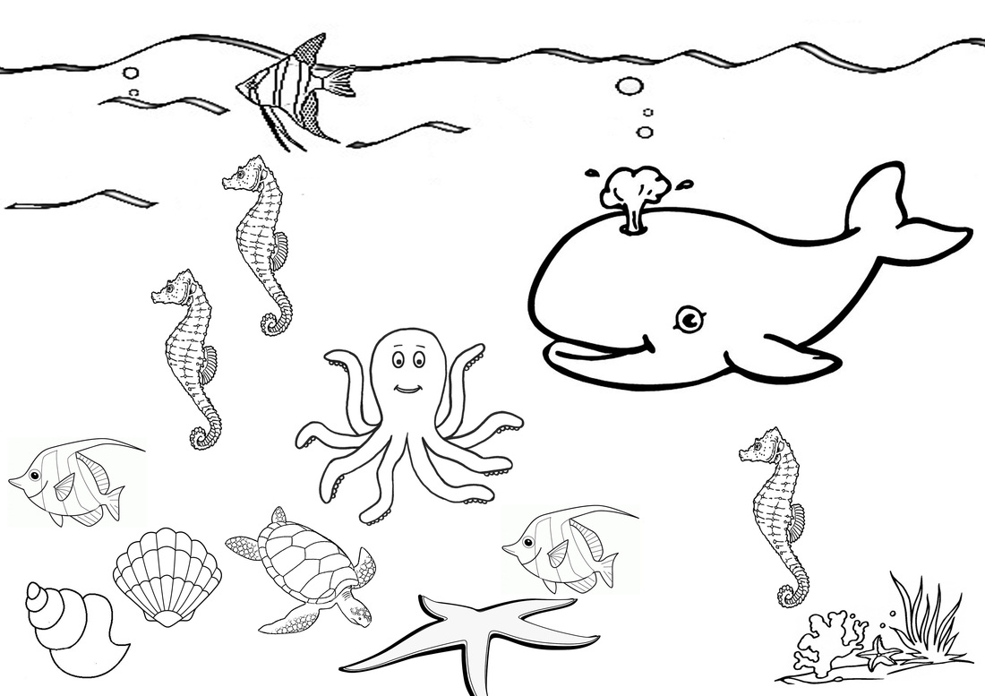 under the sea pictures coloring pages - photo #11