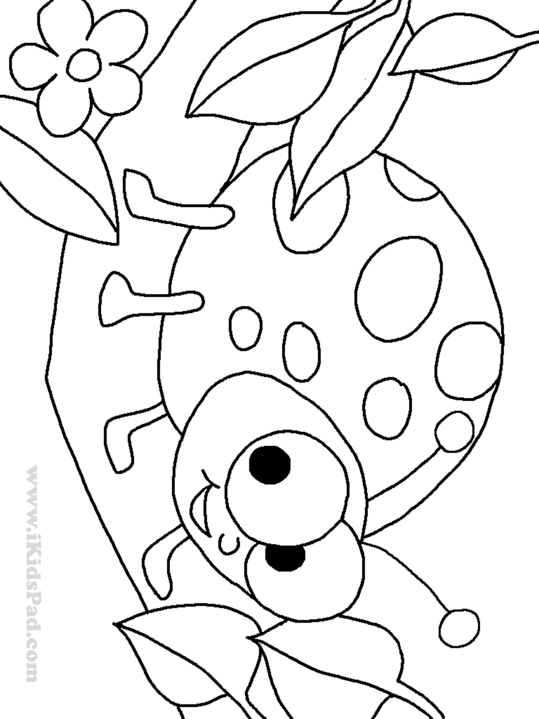 lady bug coloring pages - photo #49
