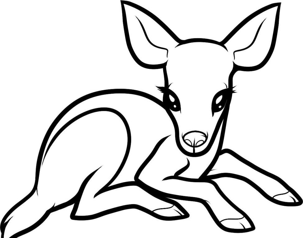 Red deer coloring pages download and print for free