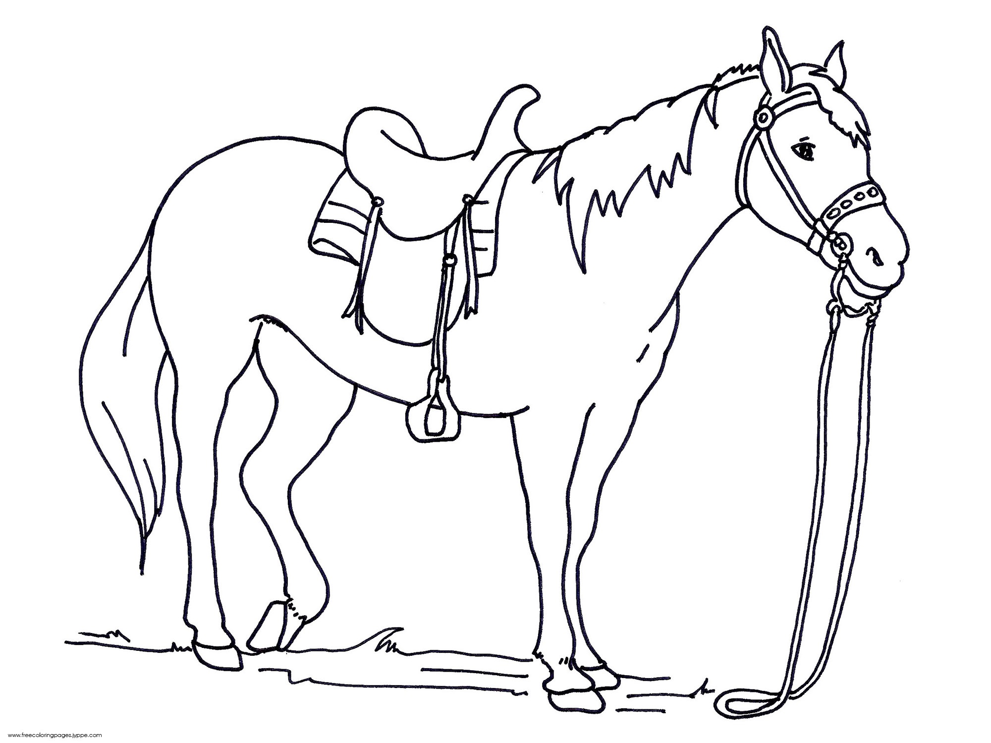 saddle coloring pages - photo #42