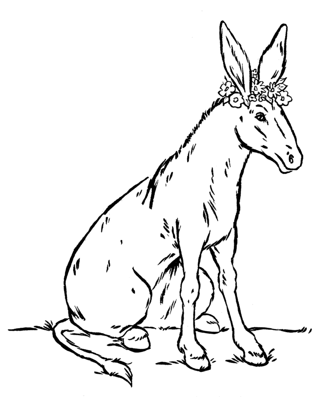 Cute Donkey Coloring Page Sketch Coloring Page
