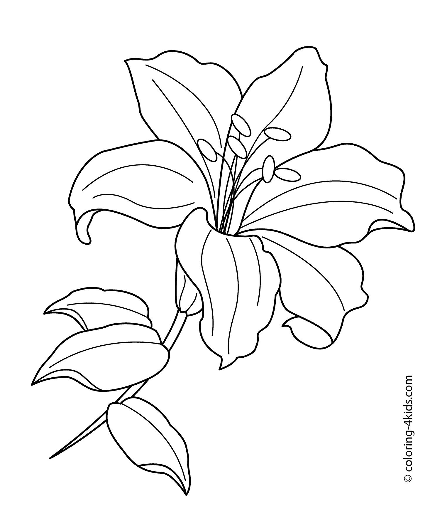 Coloring Pages Of Flowers