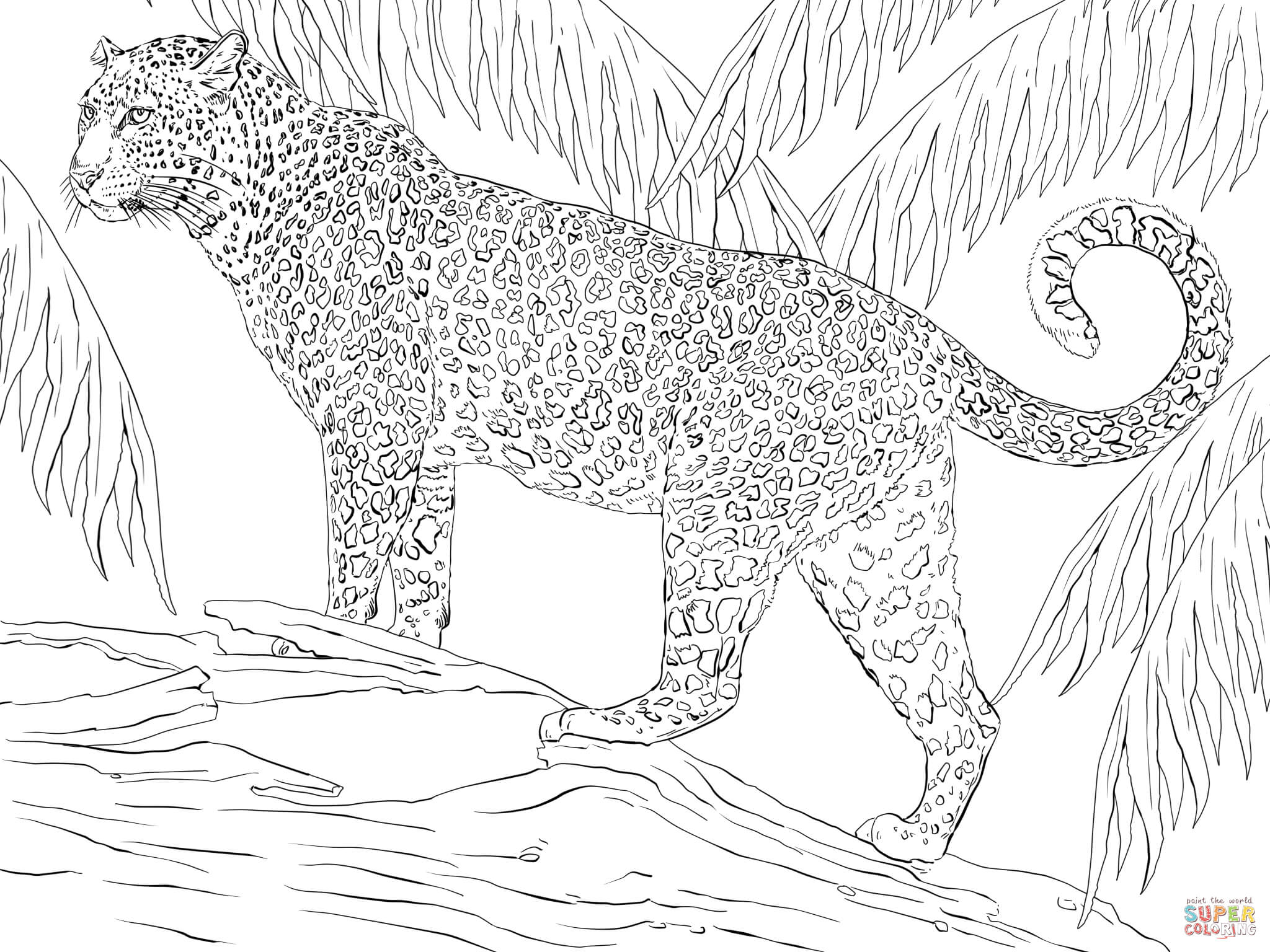 Jaguar coloring pages to download and print for free