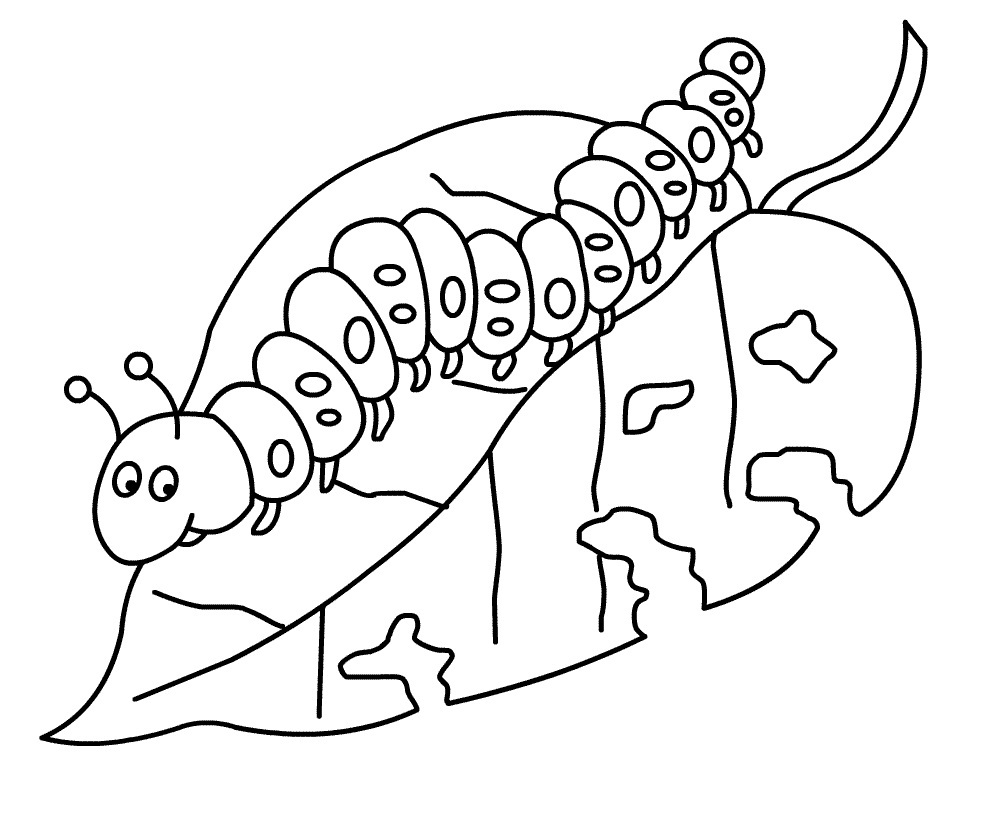 Caterpillar coloring pages to download and print for free