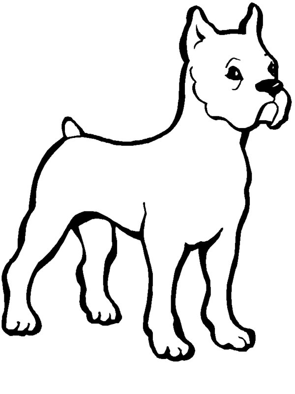 bulldog-coloring-pages-to-download-and-print-for-free