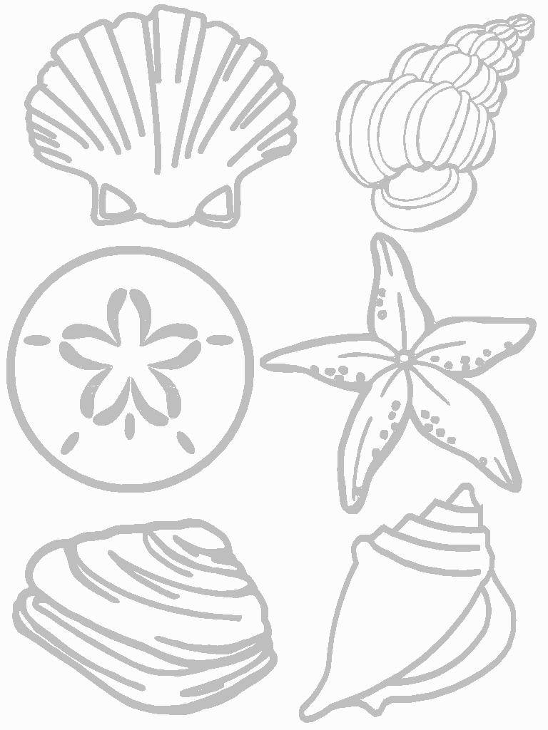 Beach shells coloring pages download and print for free