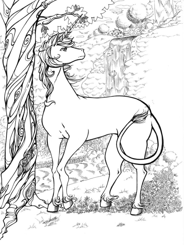 unicorn coloring realistic animal