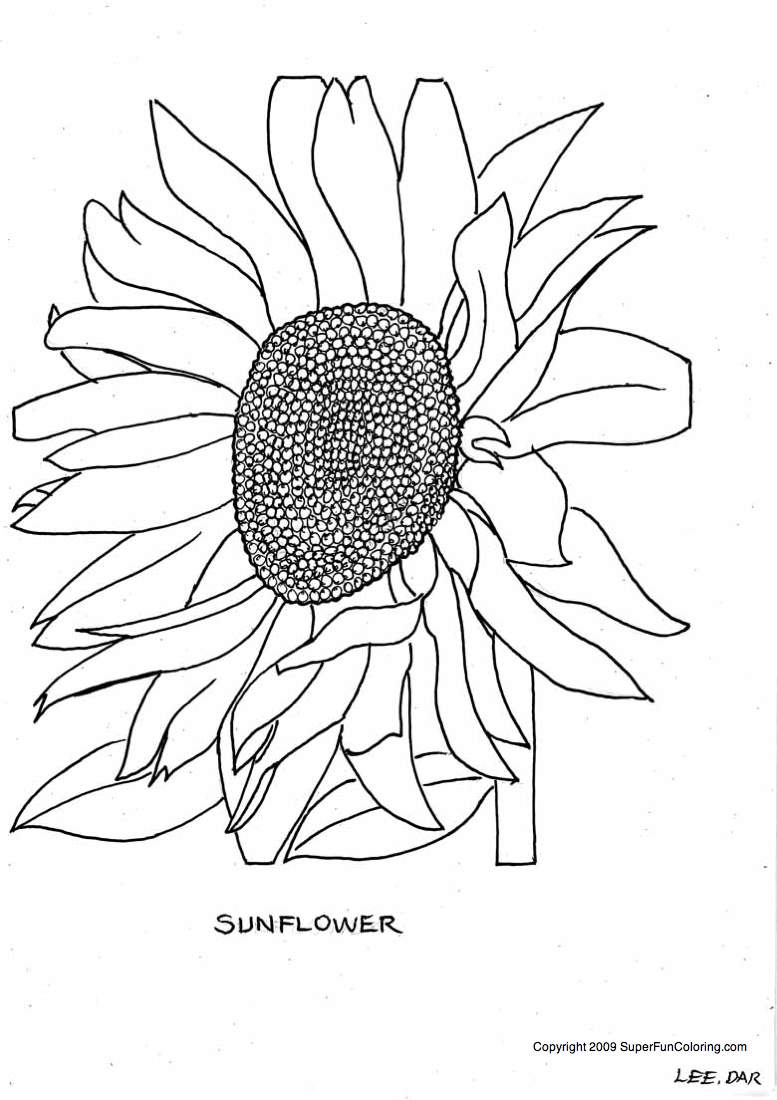 coloring sunflower flower flowers printable mosaic sunflowers embroidery own create clipart colouring cliparts sheets patterns library adult grown ups books