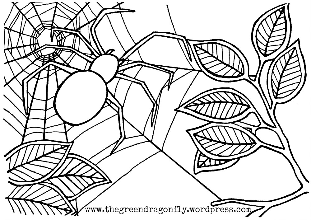 Spider coloring pages to download and print for free