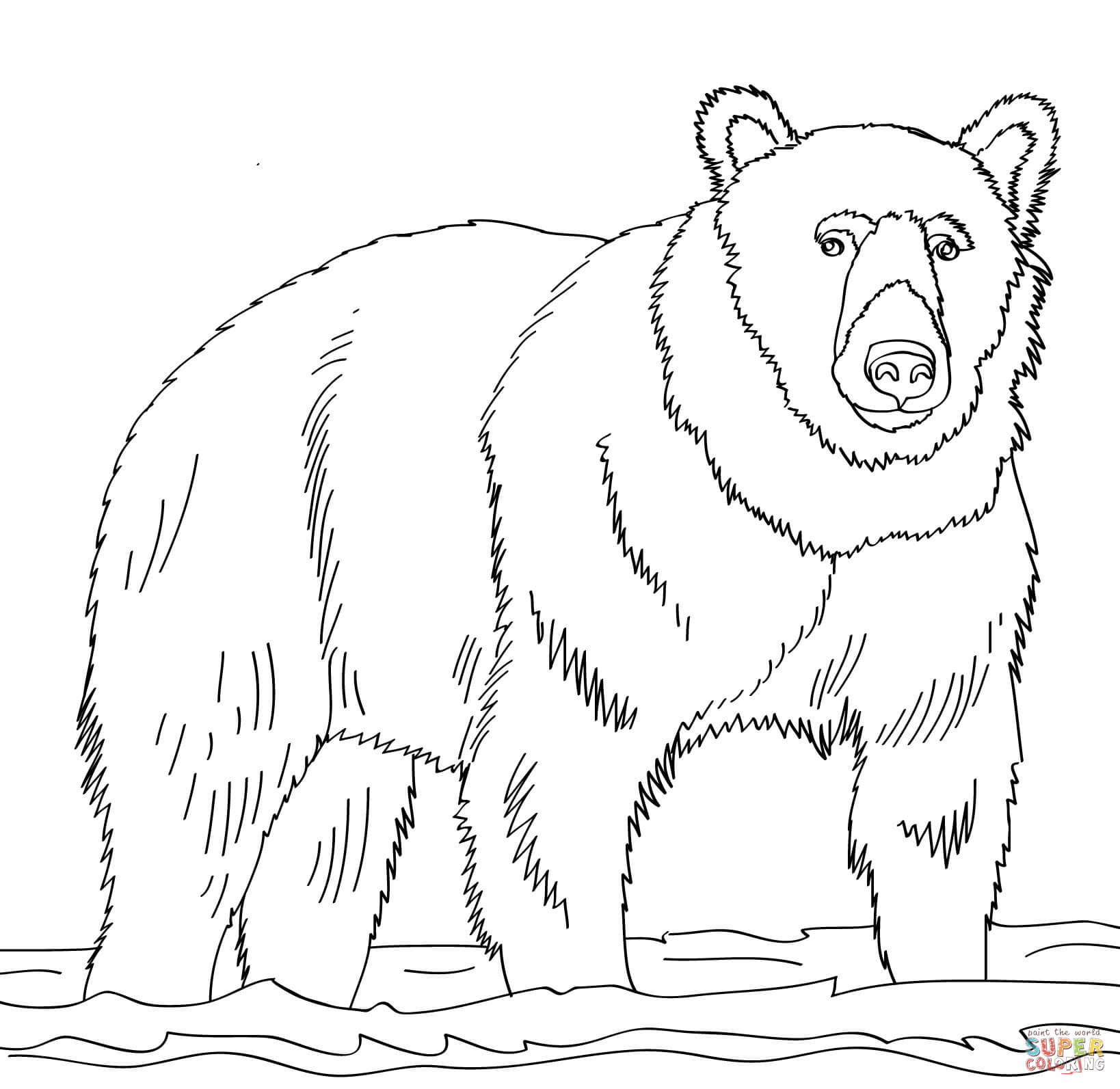 Brown bear coloring pages download and print for free