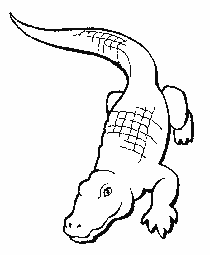crocodile-coloring-pages-to-download-and-print-for-free