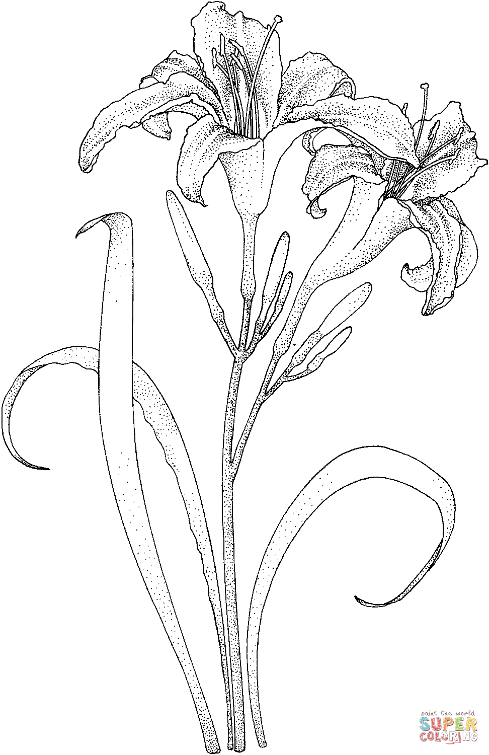 767 Unicorn Lily Flower Coloring Pages with disney character