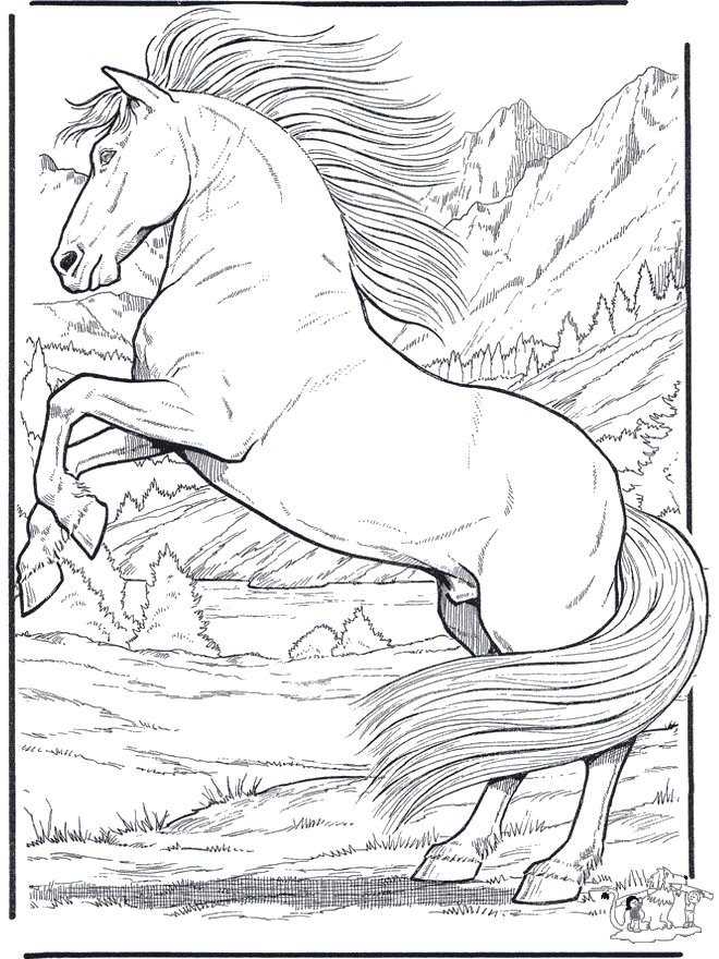 coloring-pages-sea-otter-realistic-horse-coloring-pages-to-download