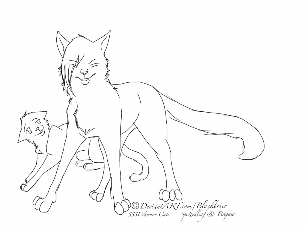 warrior coloring cats cat fluffy drawing outline couples printable getdrawings animal getcolorings animals popular coloringtop