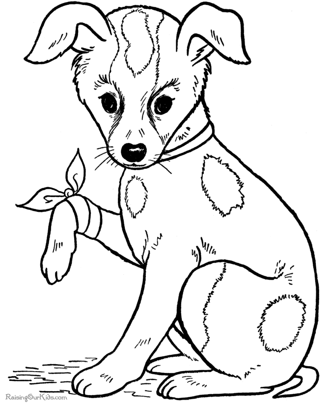 cat-and-dog-coloring-pages-to-download-and-print-for-free