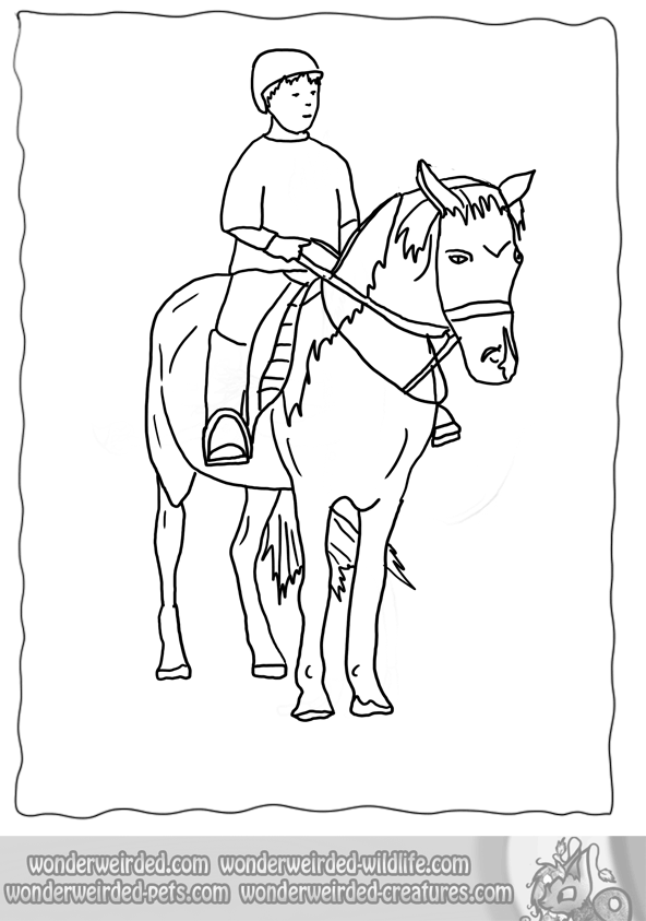 horse riding coloring horseback template