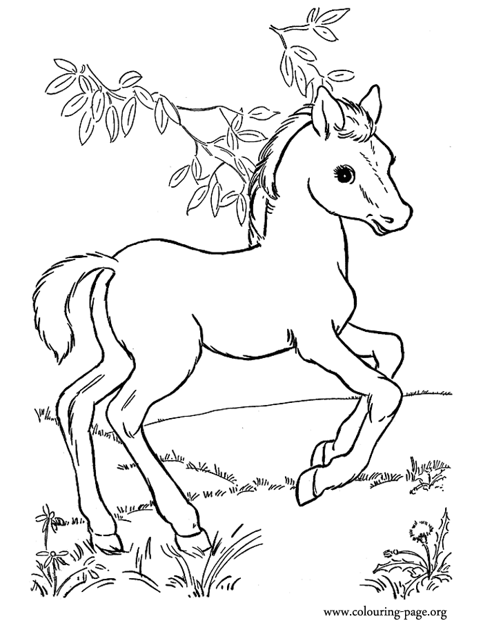 368 Simple Barbie Horse Coloring Pages 