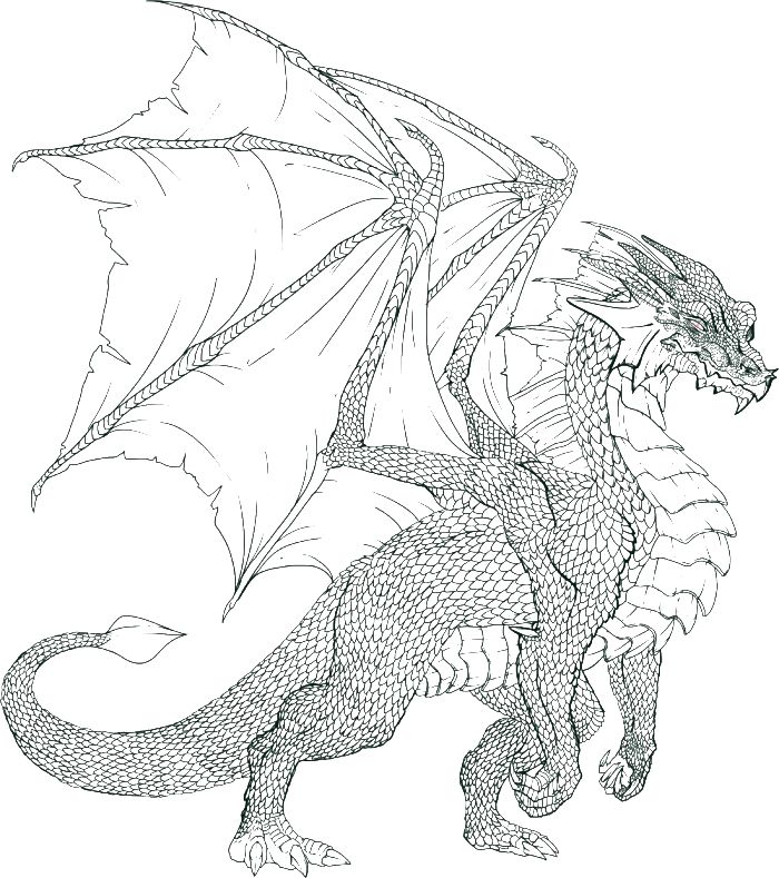 Dragon coloring pages to download and print for free