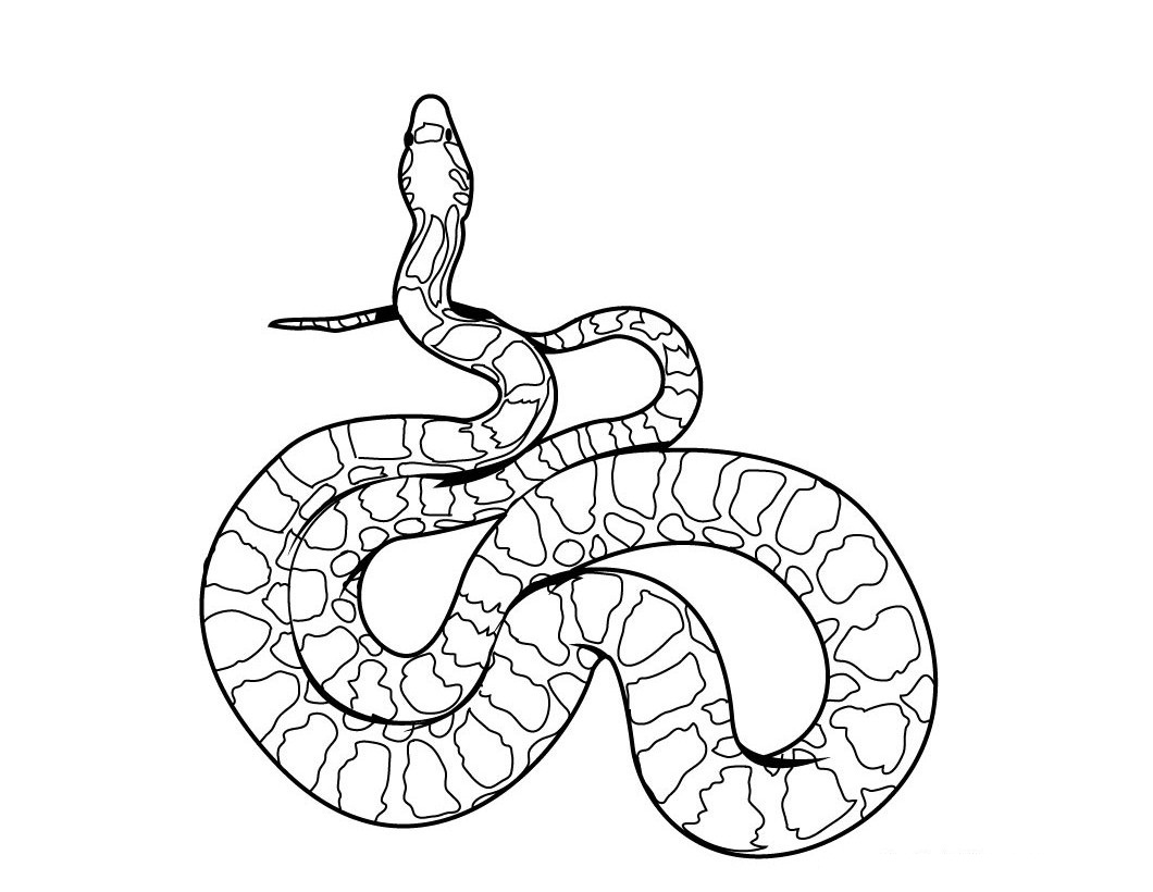 Python coloring pages download and print for free