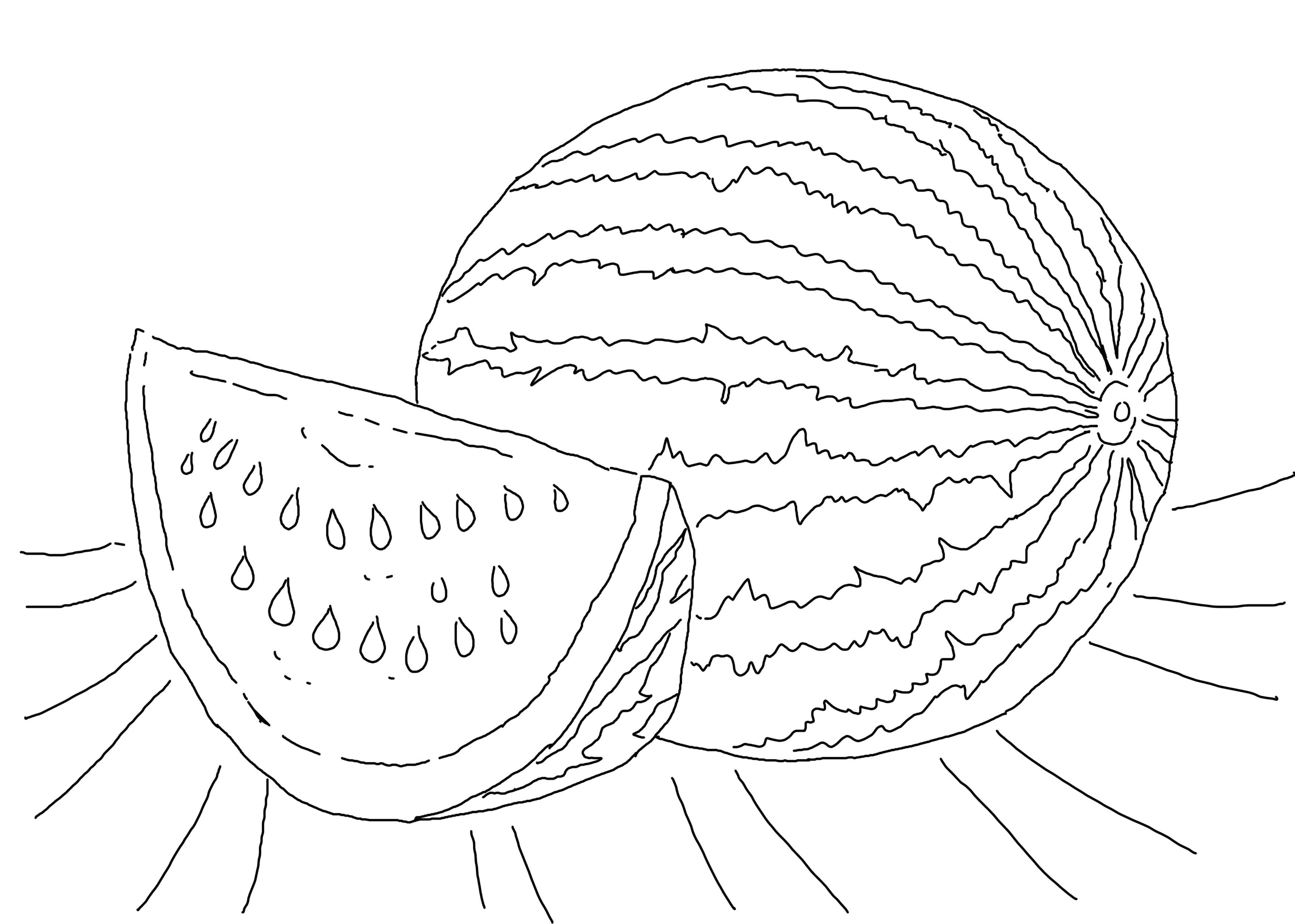 Watermelon coloring pages to download and print for free