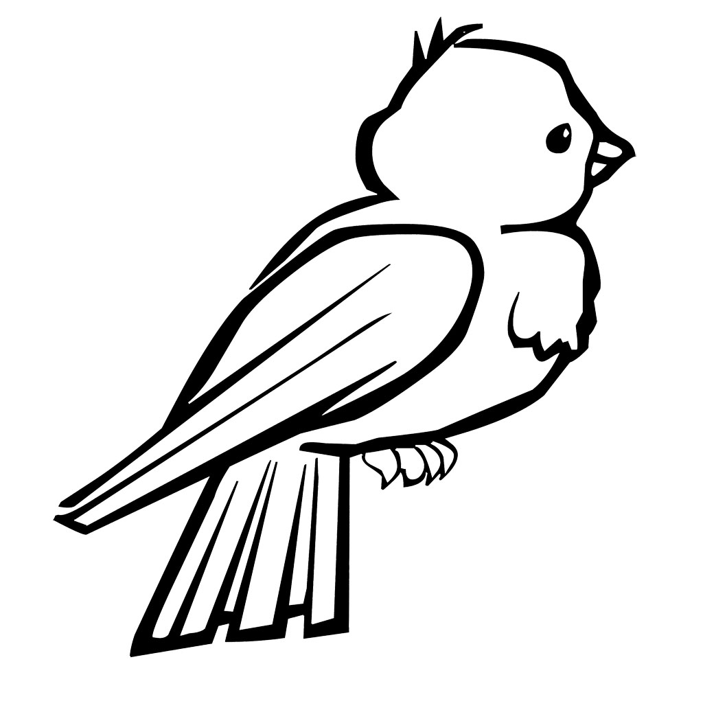 Birds of africa coloring pages download and print for free