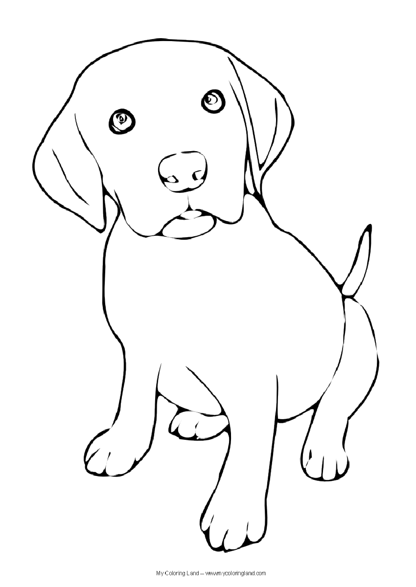 Corgi coloring pages download and print for free