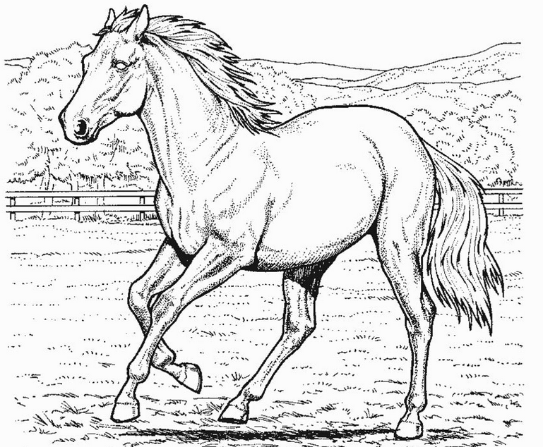 Realistic horse coloring pages to download and print for free