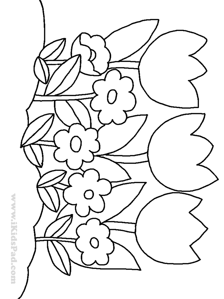 Free Printable Coloring Pages Of Flowers