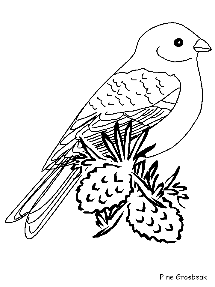 + Coloring Pages Birds In Winter PNG - Animal Coloring Pages