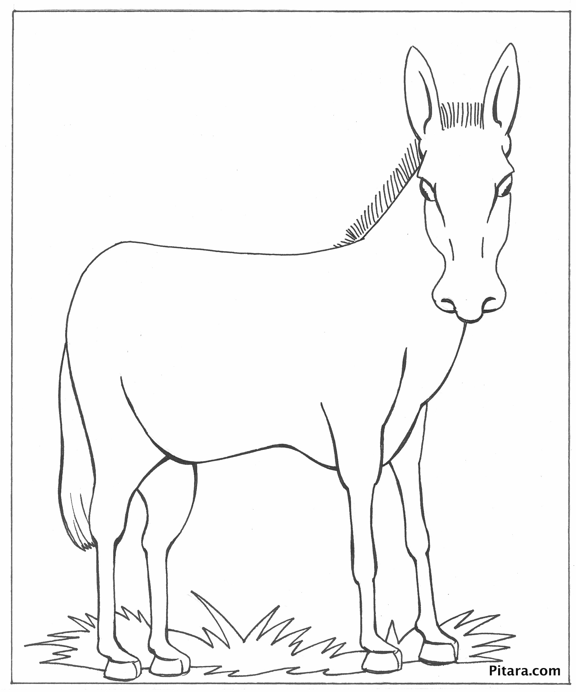 Donkey coloring pages to download and print for free