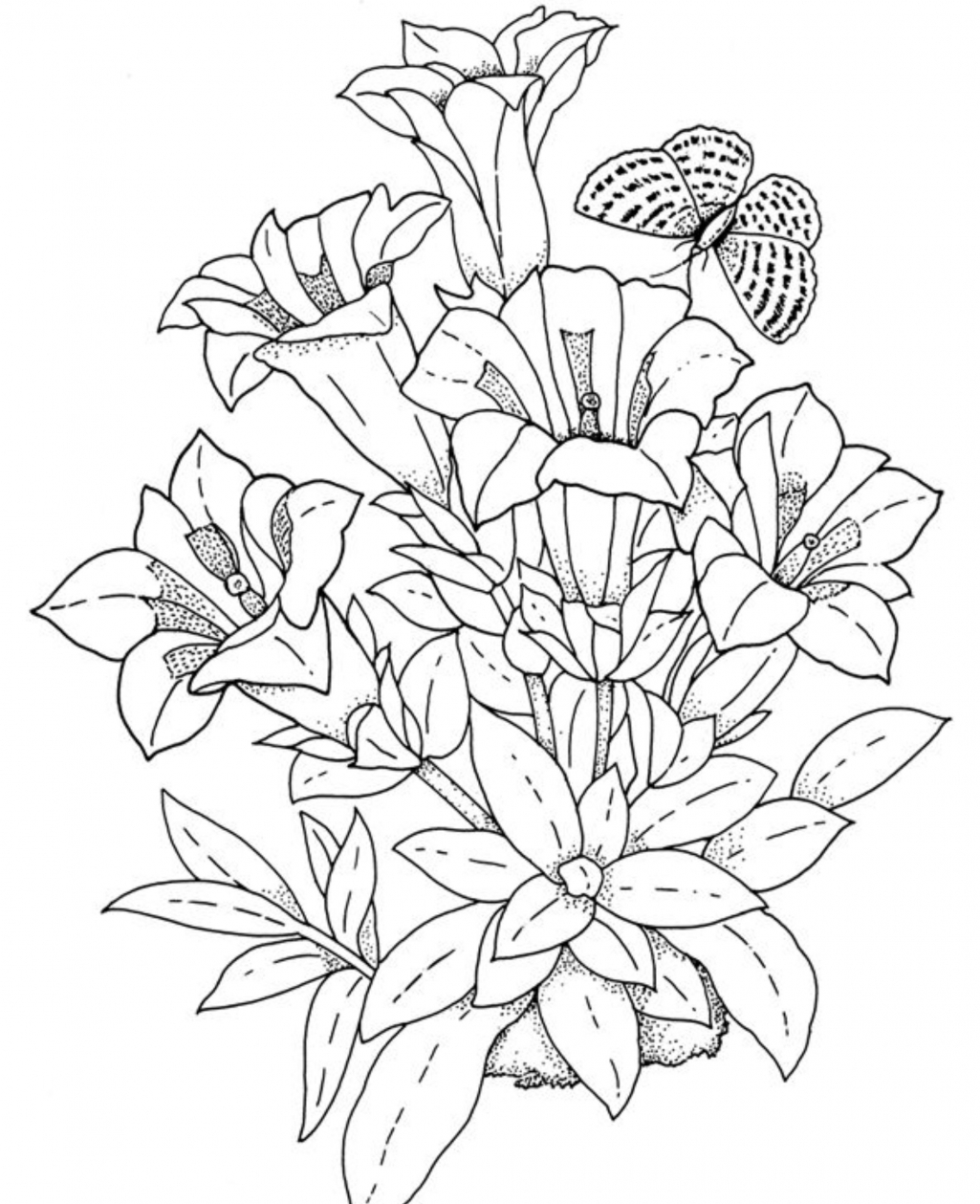 Printable Realistic Flower Coloring Pages Printable Blank World