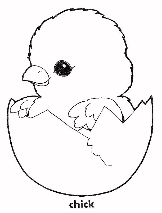 Chicken coloring pages to download and print for free