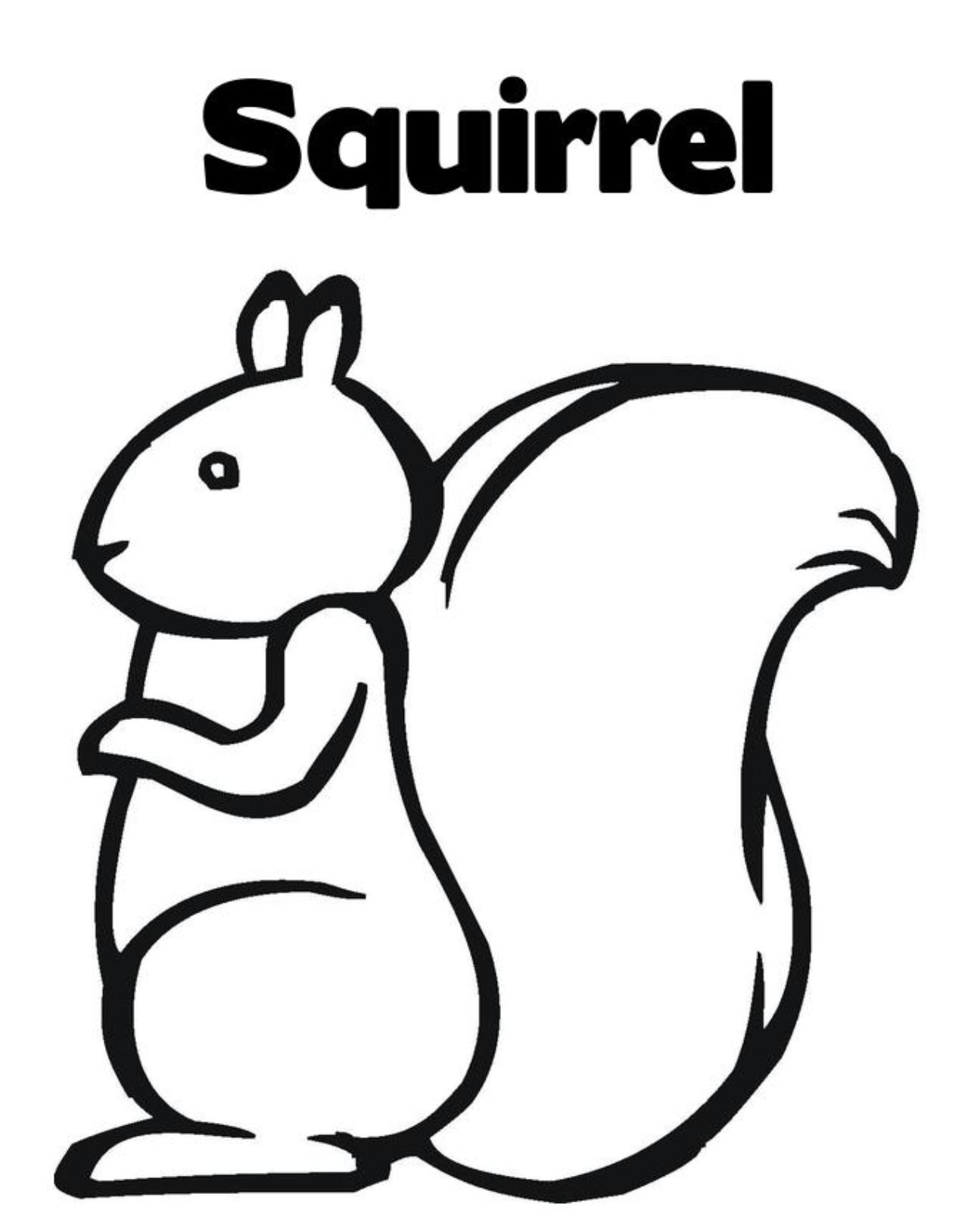 Squirrel coloring pages to download and print for free