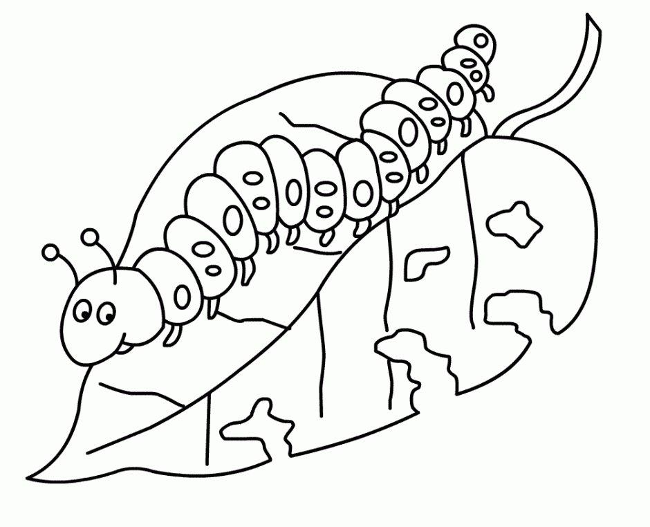 Very hungry caterpillar coloring pages to download and