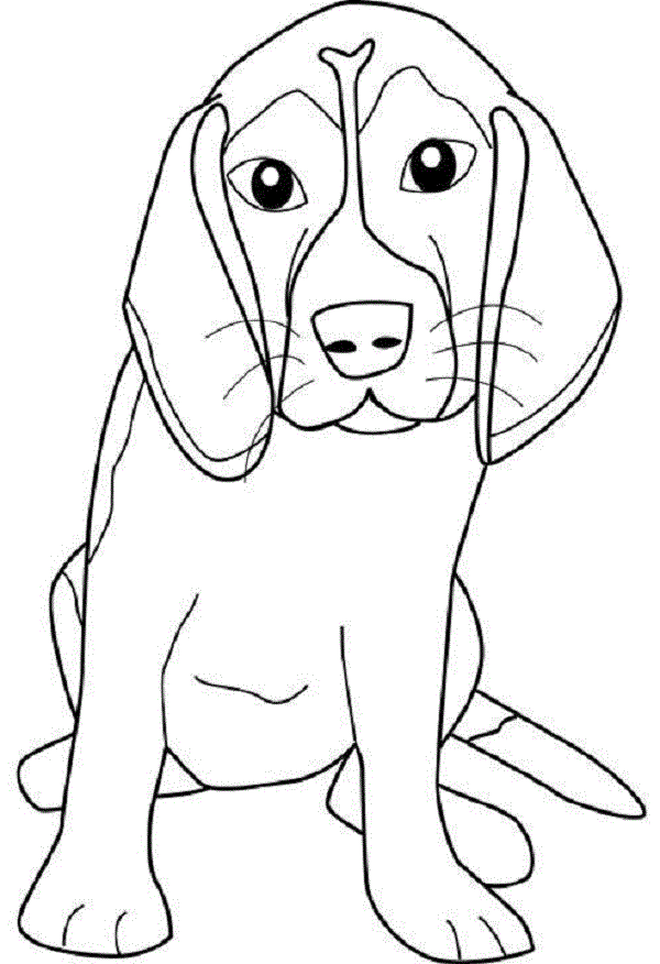 Beagle coloring pages to download and print for free