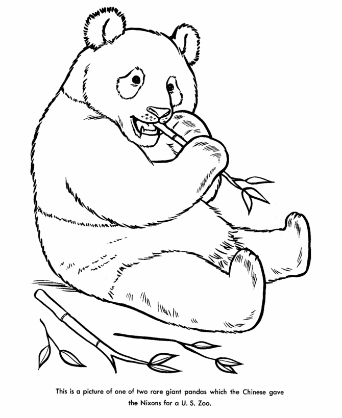 Panda Bear Coloring Pages To Download And Print For Free