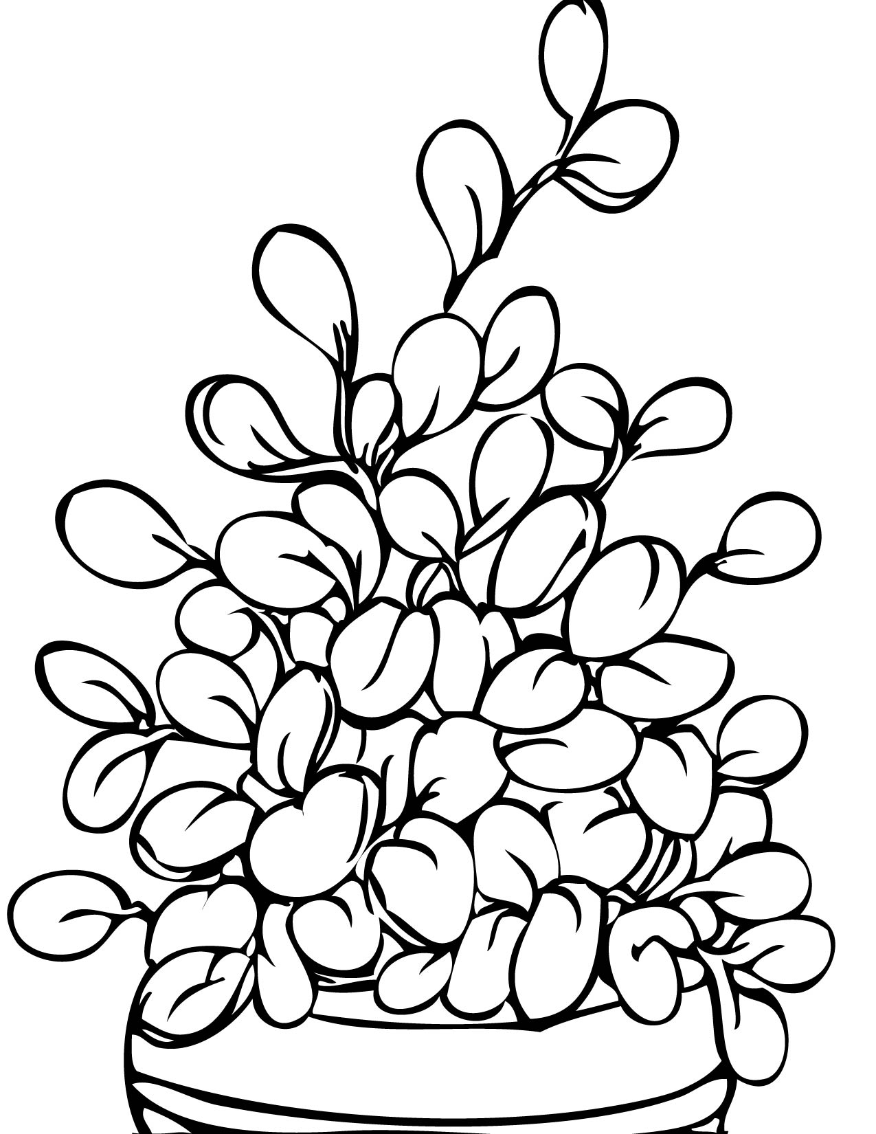 plant-coloring-pages-printable