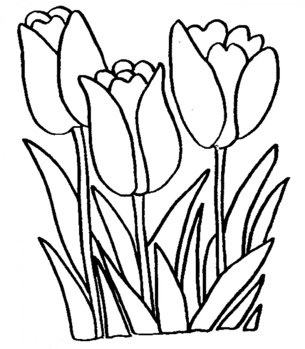 Tulip coloring pages to download and print for free