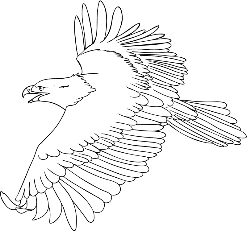 bald-eagle-coloring-pages-download-and-print-for-free