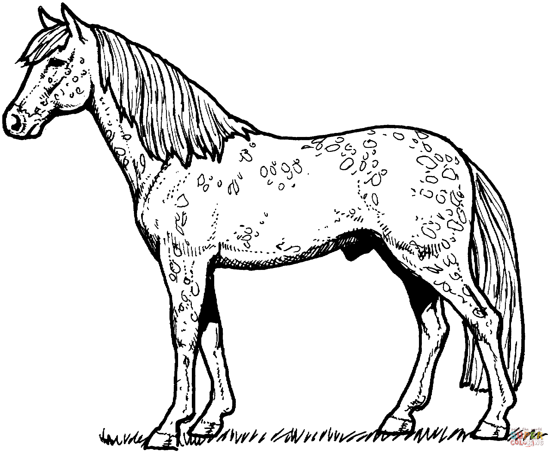 palomino-horse-coloring-pages-download-and-print-for-free