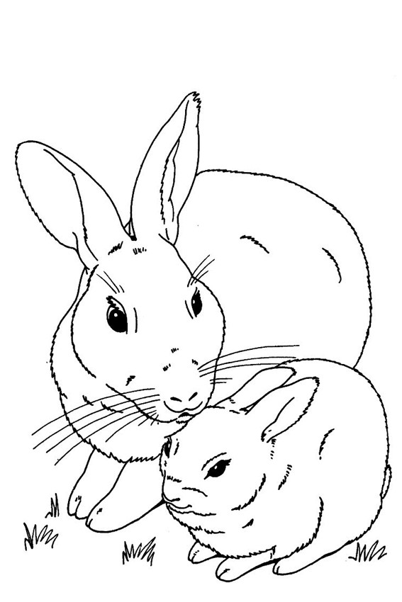 756 Cartoon Realistic Bunny Coloring Pages for Kindergarten