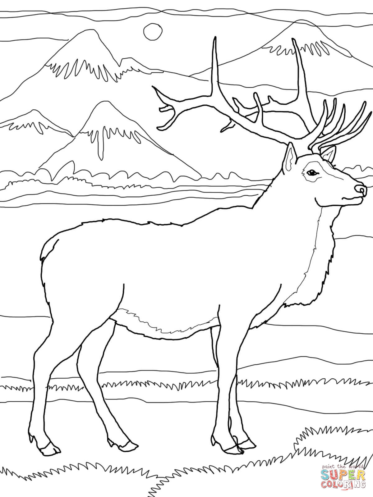 elk coloring wapiti mountain rocky deer printable bull super colouring supercoloring drawing drawings adult animal sheets easy draw cartoons popular