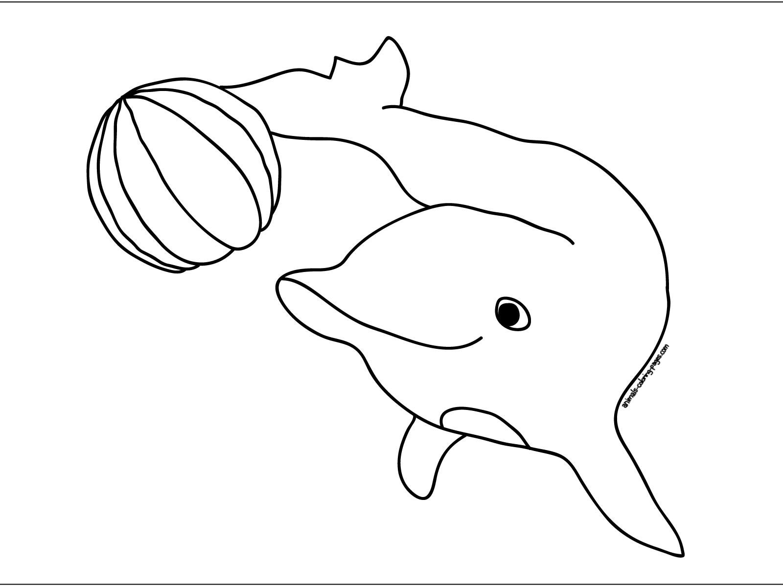 Dolphin coloring pages download and print for free