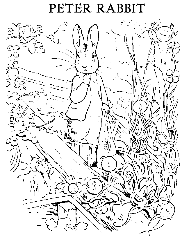 Peter rabbit coloring pages to download and print for free