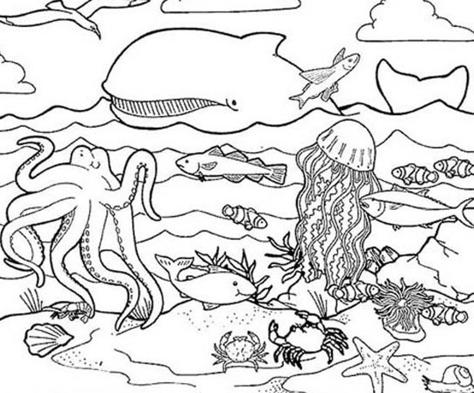 Sea life coloring pages to download and print for free