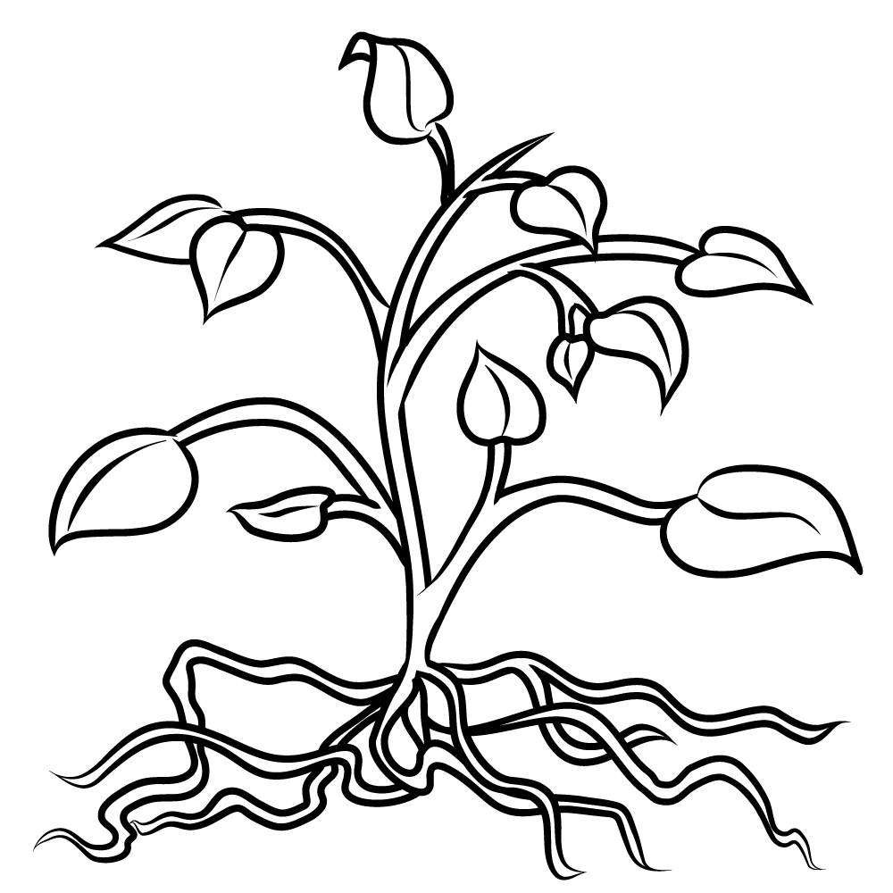 Free Printable Plants Colouring Pages