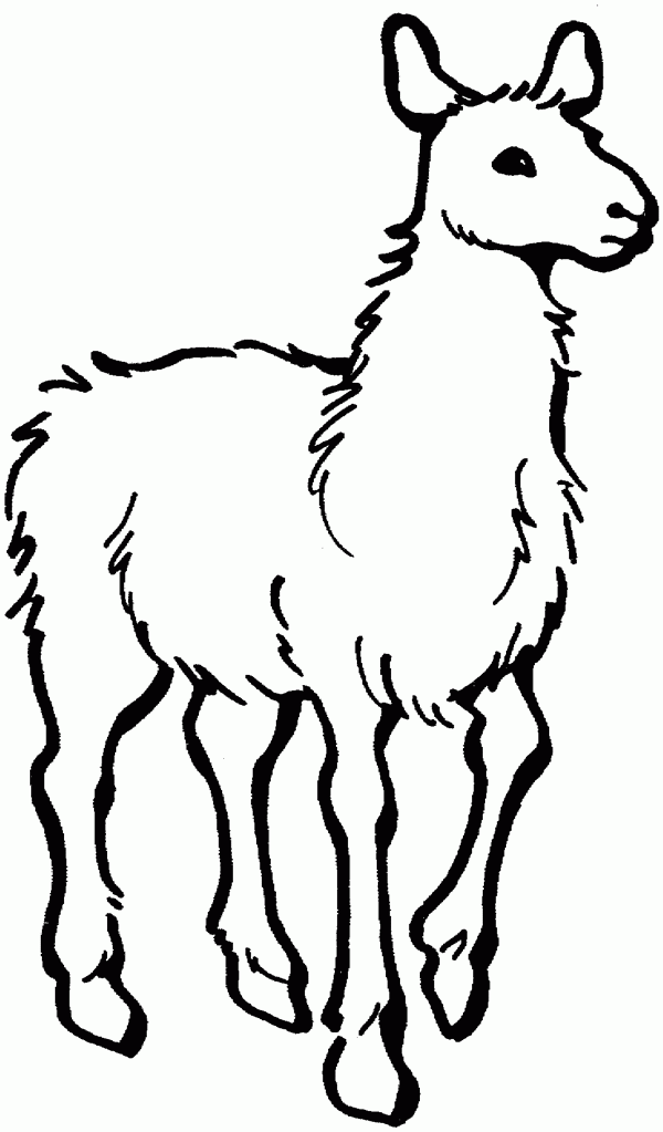 Llama coloring pages to download and print for free