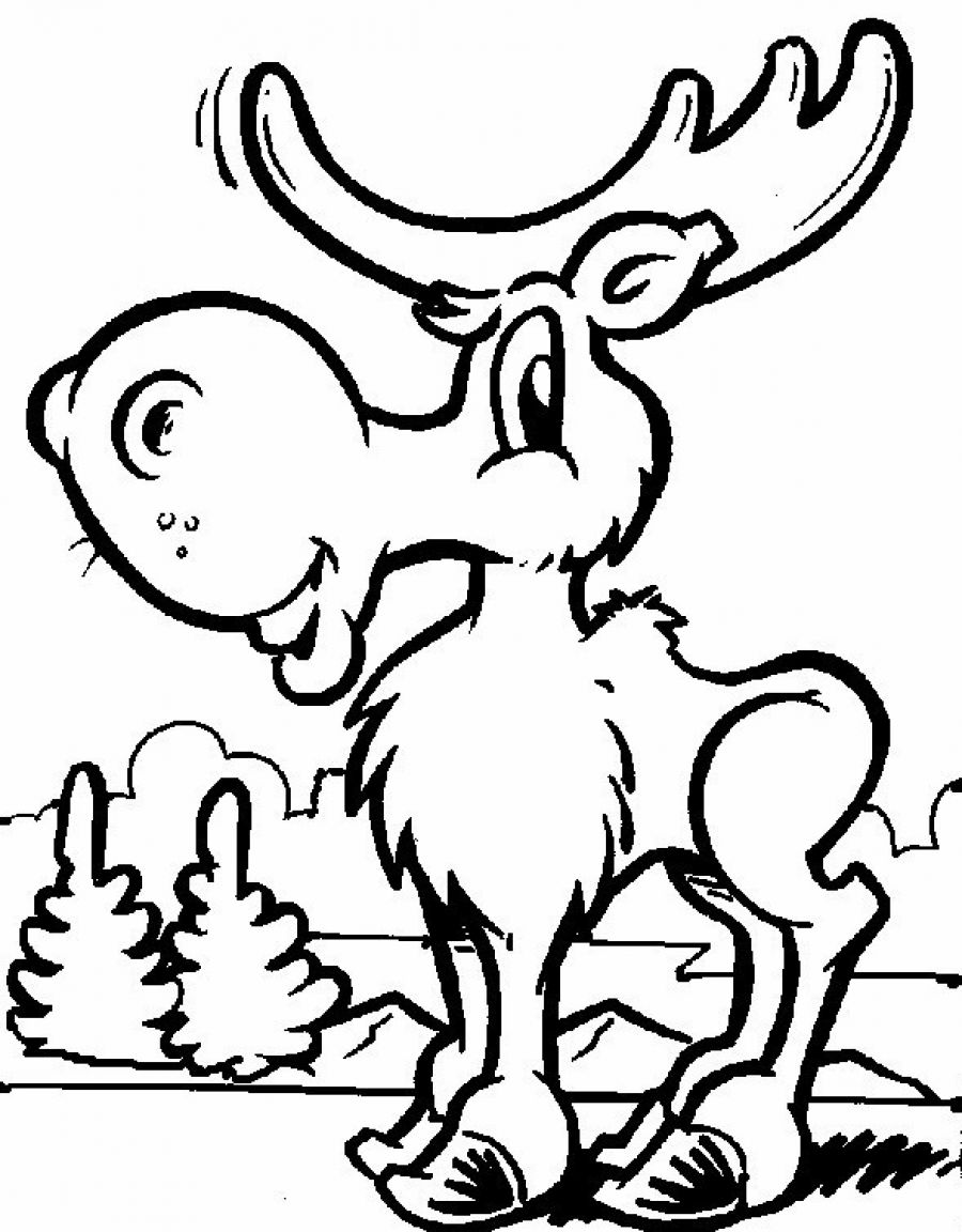 Moose coloring pages to download and print for free